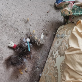 Deep Cleaning Birkenhead